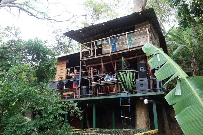 Treehouse Hostel (Nicaragua)